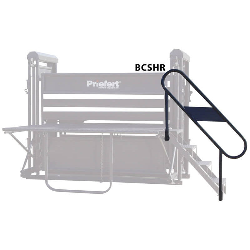 Bucking Chute Platform Stairs & Hand Rail