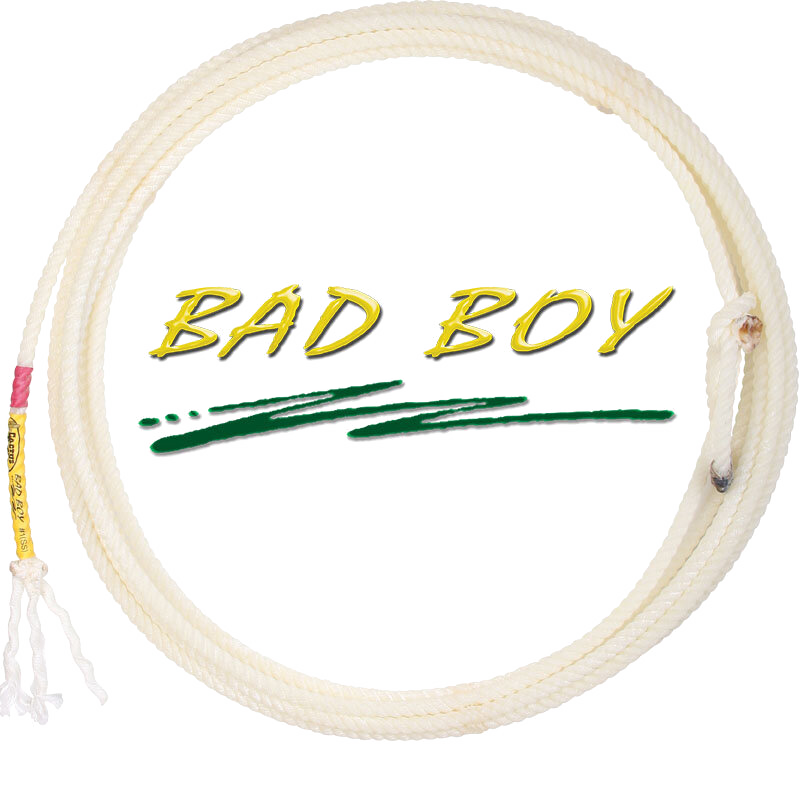 Bad Boy