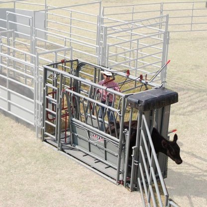 Beefmaster XL-2VG Squeeze Chute