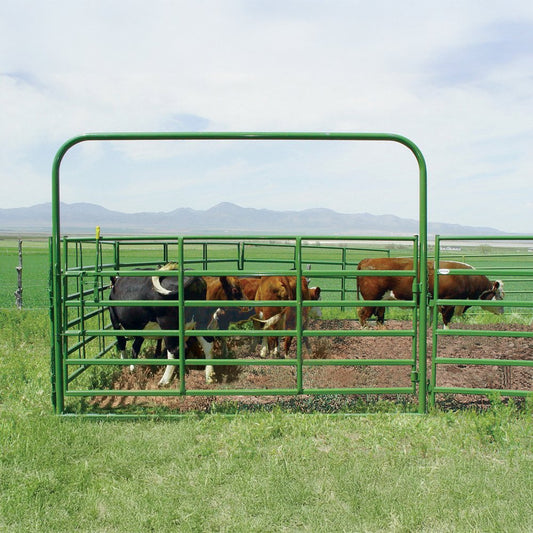 Super Classic Bull Bow Gates Bolt Hinge w/Lever Latch