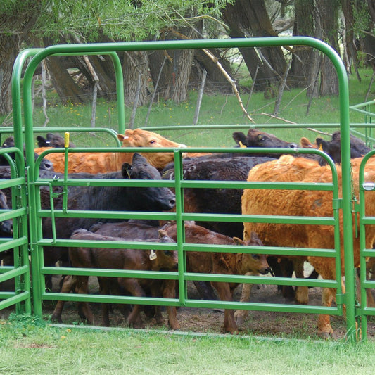 Classic Bow Gate