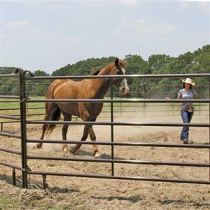 Utility Round Pens