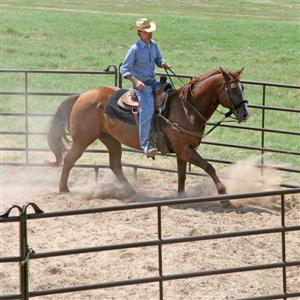 Utility Round Pens