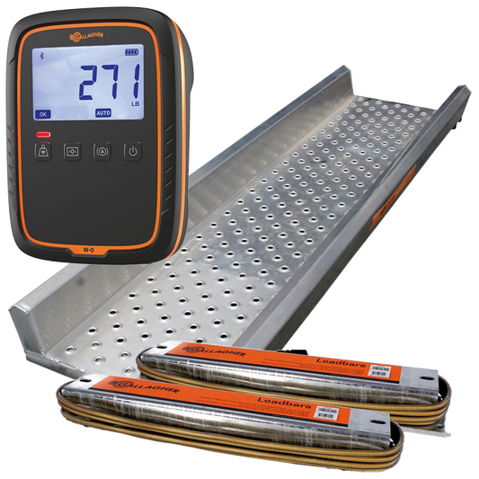 Gallagher W-0 Weigh System & Platform Kit