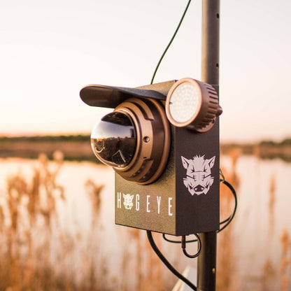 HogEye Trap Camera
