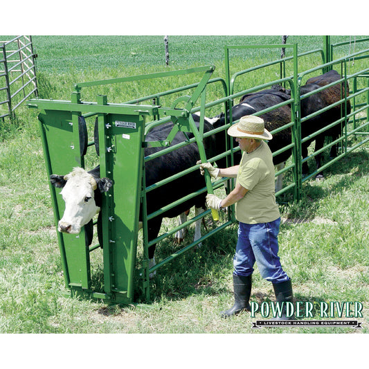 Classic Manual Stanchion