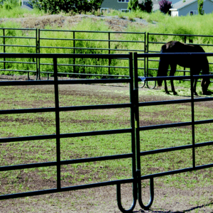 Powder Creek Round Pen