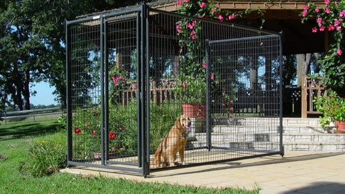 Dog standing in a large outdoor metal kennel with flowers and greenery around.