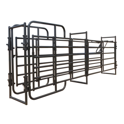20' Rough Stock Alley w/Alley Stop and Preg Panels - RSOS-6