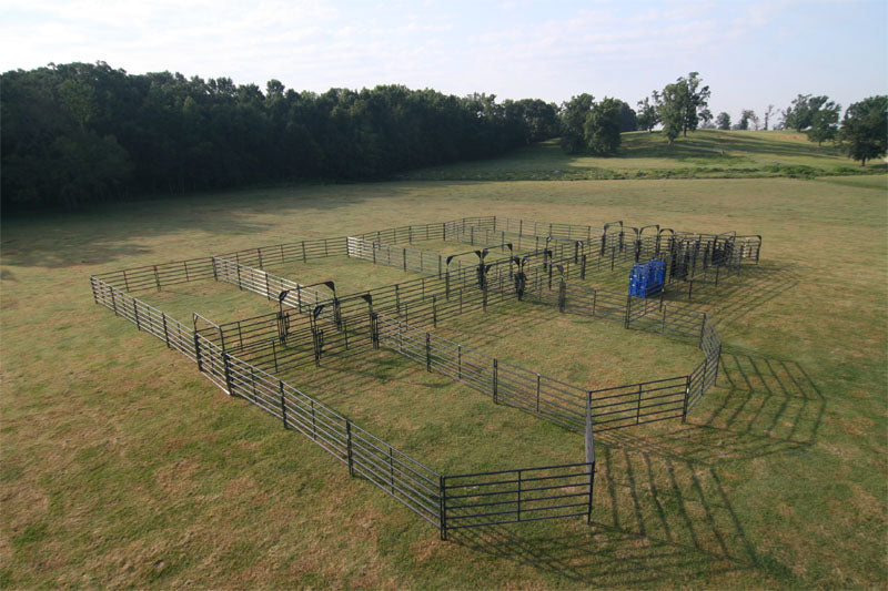 Rough Stock Corral System 250 Head - RSOSCS-4