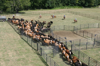 Rough Stock Corral System 250 Head w/Calf Table - RSOSCS-5