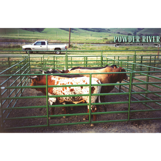 Super Classic Bull Panels