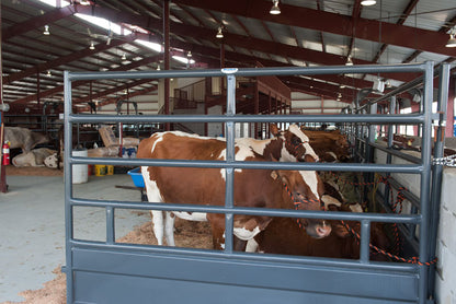 Tie Stall Panels