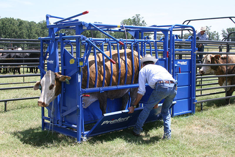 Squeeze Chute-S01 With Model 91 Head Gate - S0191