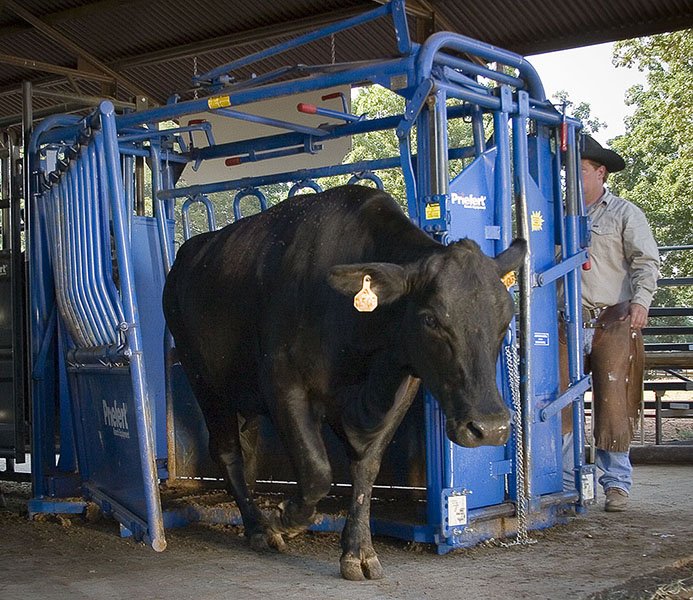 Squeeze Chute - Model 04 - S04