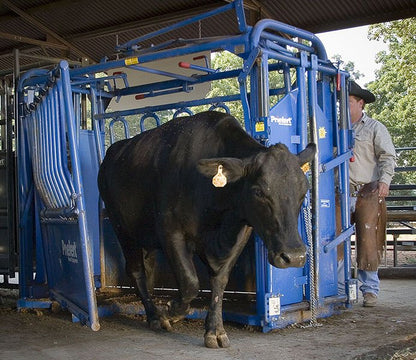 Squeeze Chute - Model 04 - S04