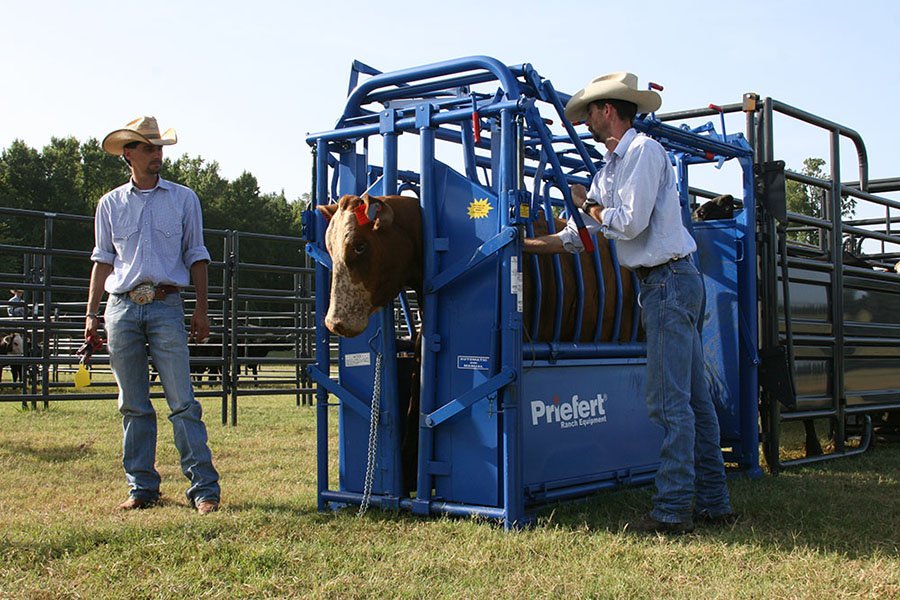 Squeeze Chute - Model 04 - S04