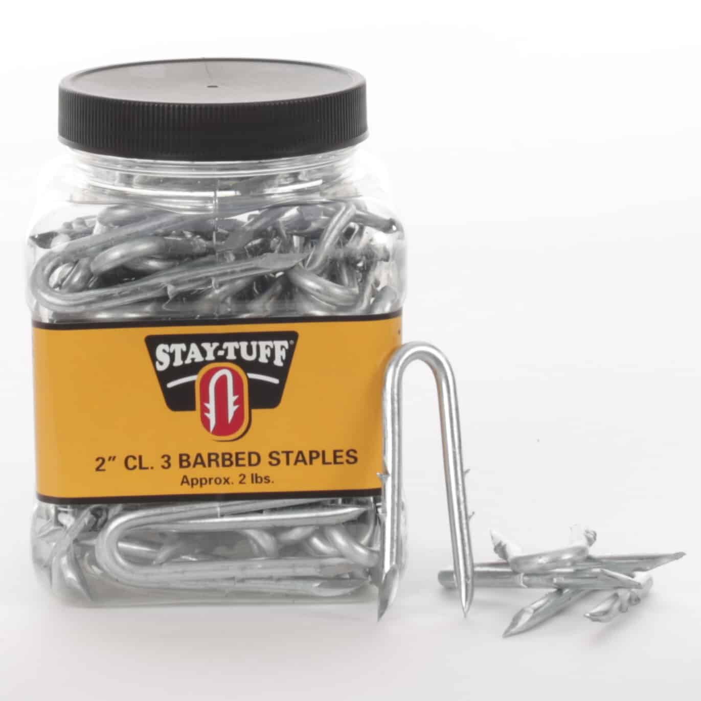 A clear plastic container with a black lid labeled 'STAY-TUFF' containing silver barbed staples, with some staples scattered outside the container.