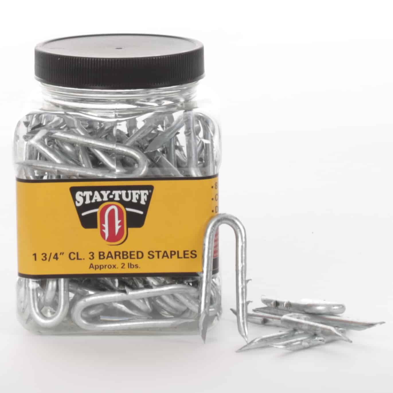 A clear plastic container with a black lid labeled 'STAY-TUFF' containing silver barbed staples, with some staples scattered outside the container.