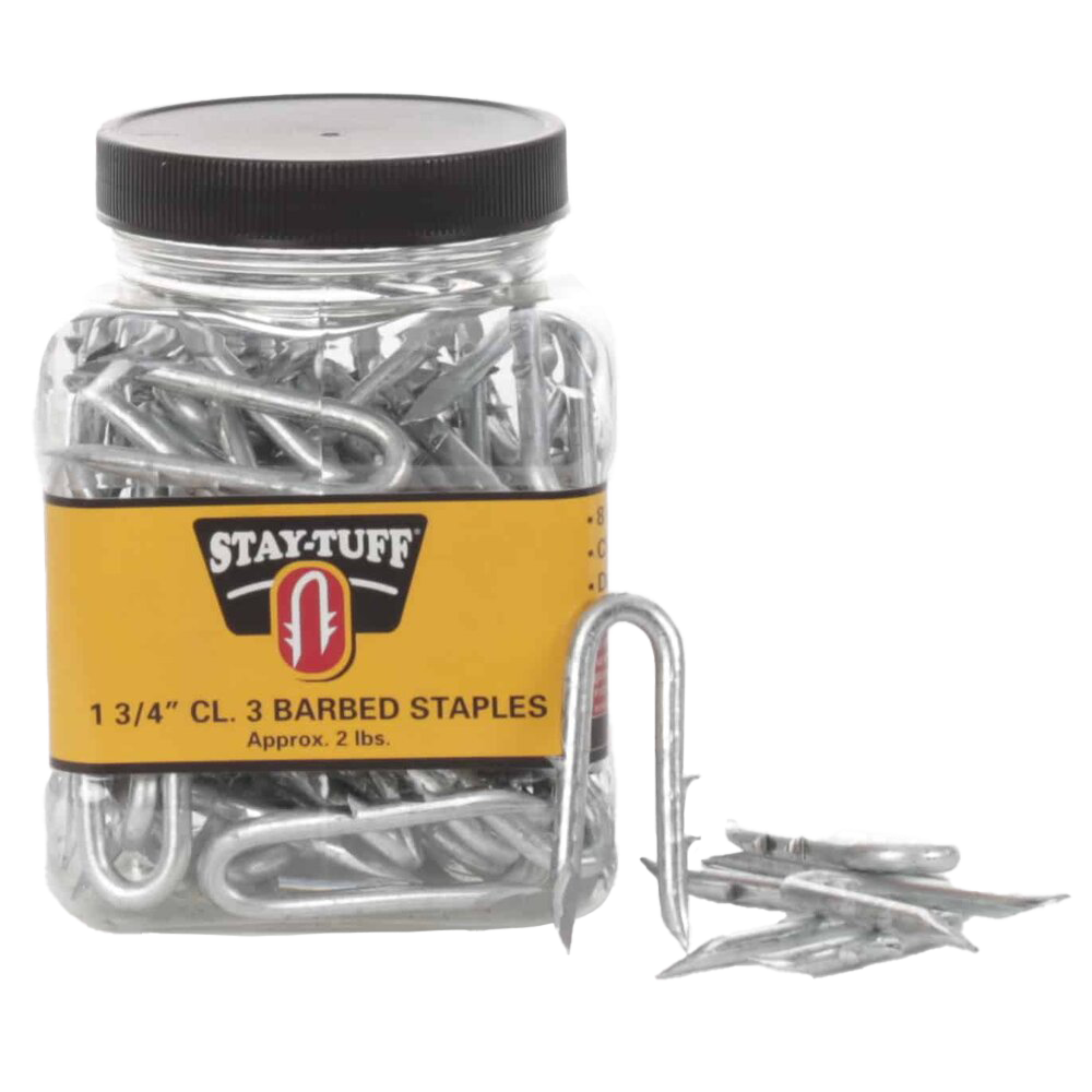 A clear plastic container with a black lid labeled 'STAY-TUFF' containing silver barbed staples, with some staples scattered outside the container.