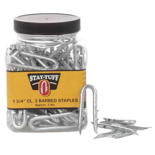 A clear plastic container with a black lid labeled 'STAY-TUFF' containing silver barbed staples, with some staples scattered outside the container.