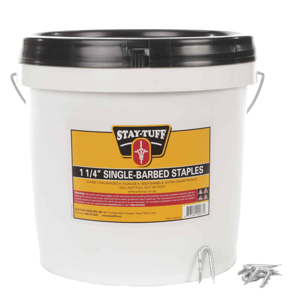 A white container with a black lid labeled 'Stay-Tuff 1 1/4" Single-Barbed Staples', containing barbed staples used for fencing.
