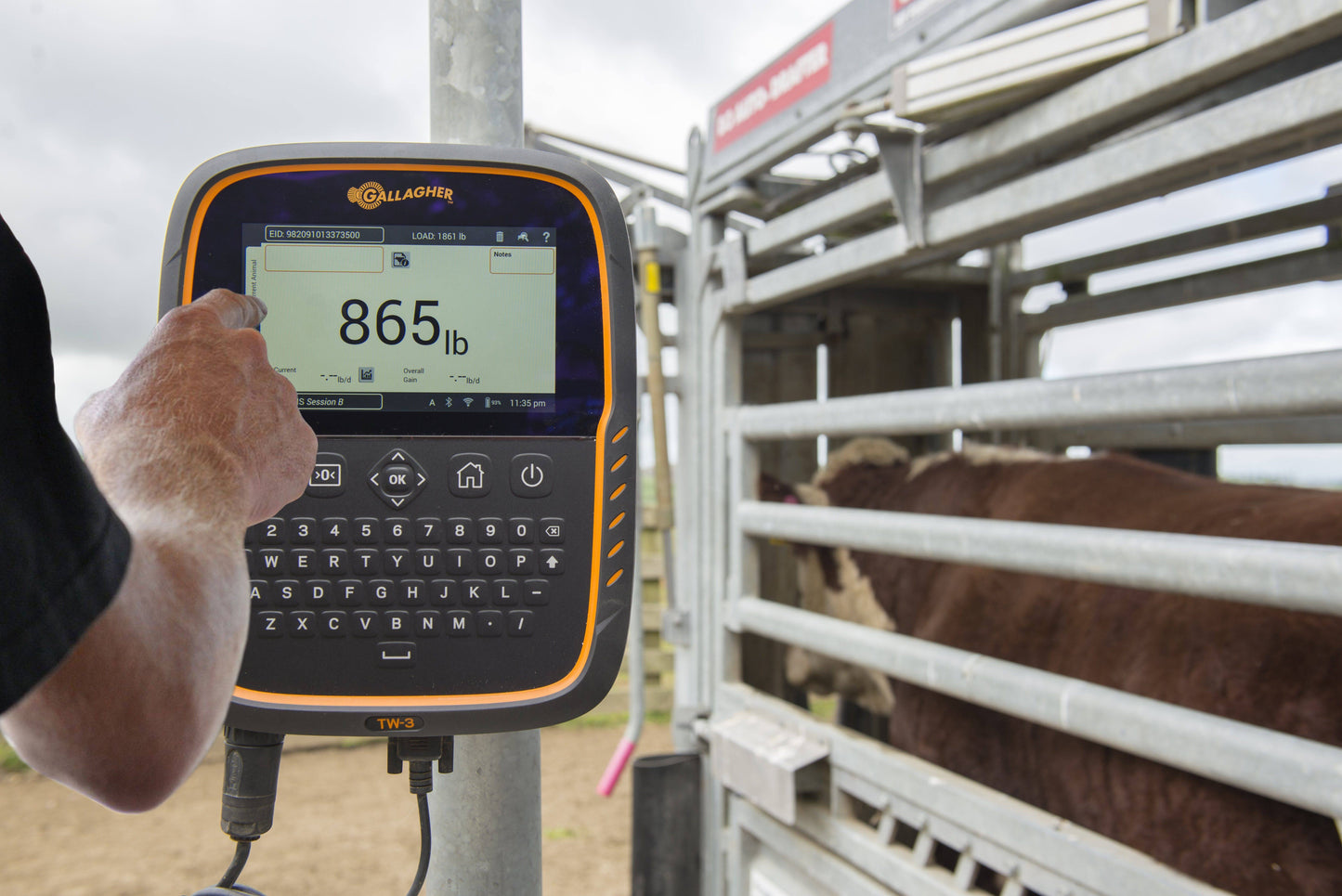 TW-3 Livestock Weigh Scale & Data Collector - Gallagher