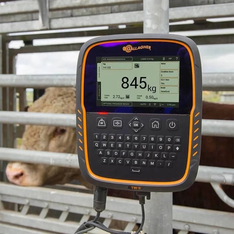 TW-3 Livestock Weigh Scale & Data Collector - Gallagher