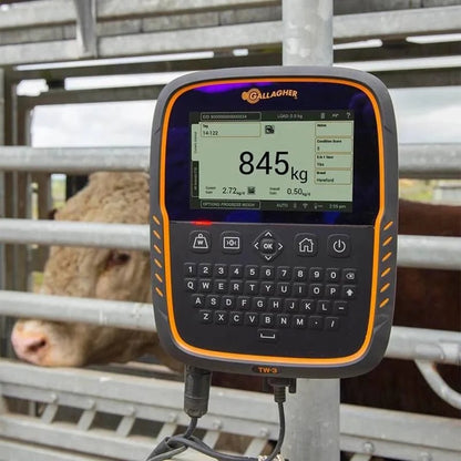 TW-3 Livestock Weigh Scale & Data Collector - Gallagher