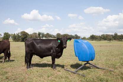 Weather Vane Feeder - WVF2
