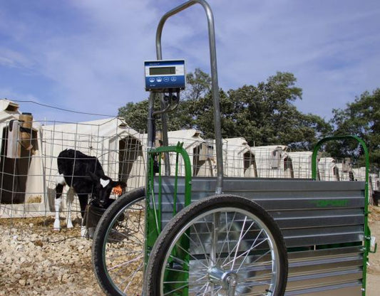 Calf Cart Scale
