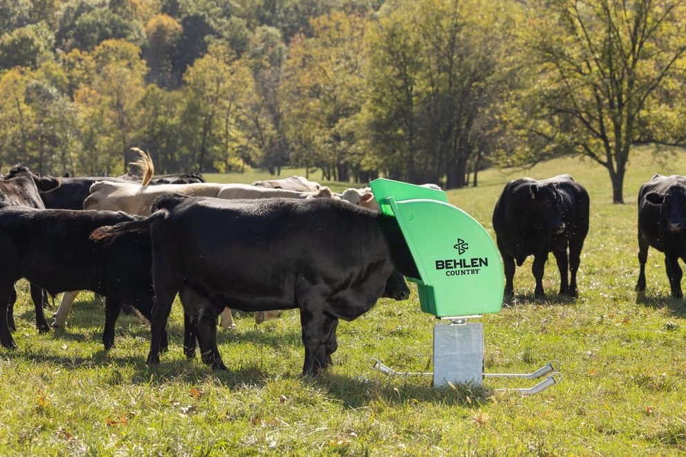 Pasture Max Mineral Feeder