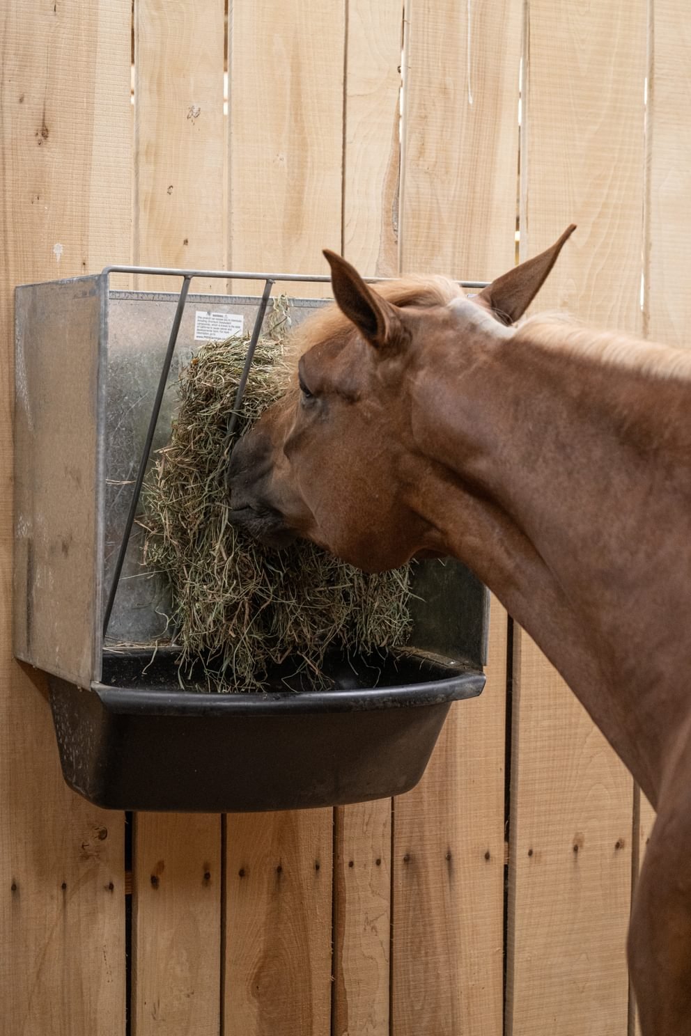 StablePro Wall Feeder