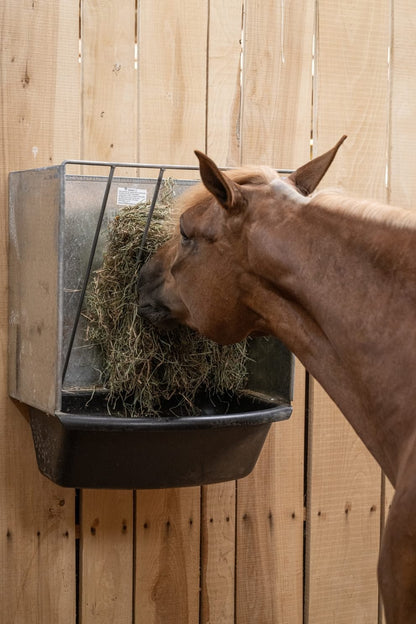 StablePro Wall Feeder