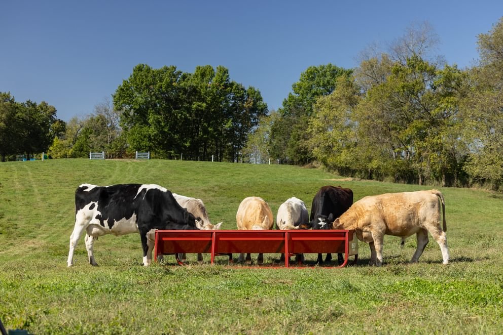 Vanguard Bunk Feeder