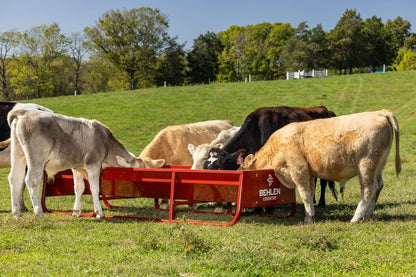 Vanguard Bunk Feeder
