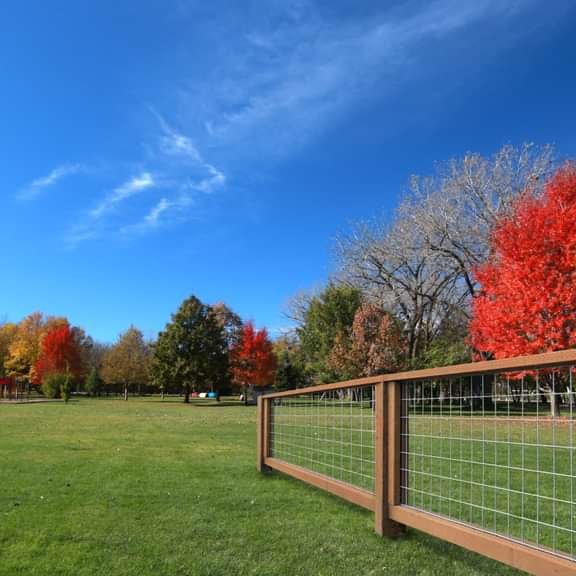 Fence Panels