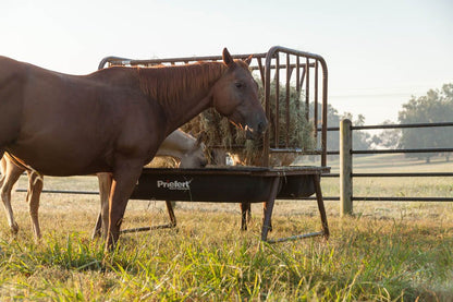 Pasture Feeder - PHFH