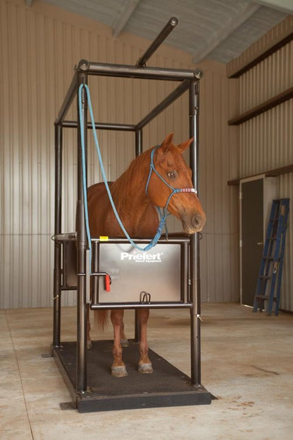 Horse Stock - Priefert