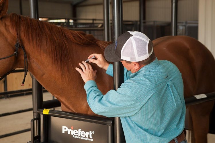 Horse Stock - Priefert
