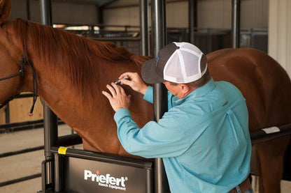 Horse Stock - Priefert