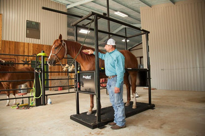 Horse Stock - Priefert