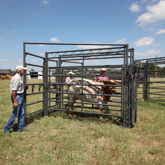 Longhorn Chute