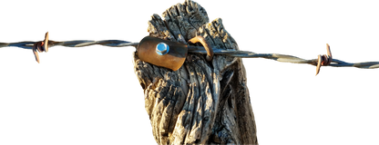 Cat’s Claw Fence Claws for Hardwoods