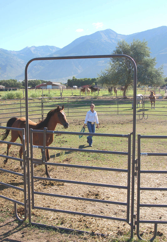 6' Powder Mountain Bow Gate