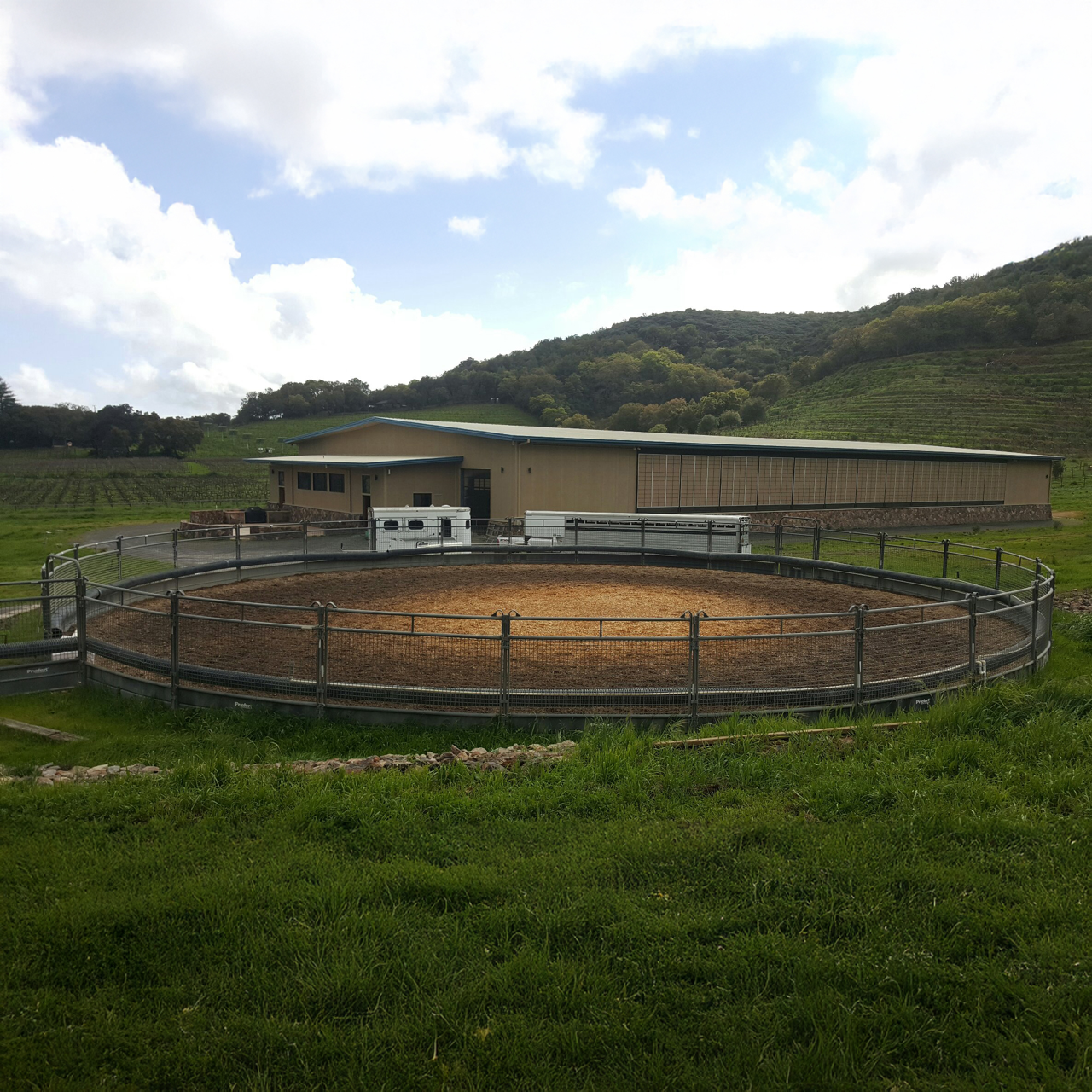 Premium Round Pens