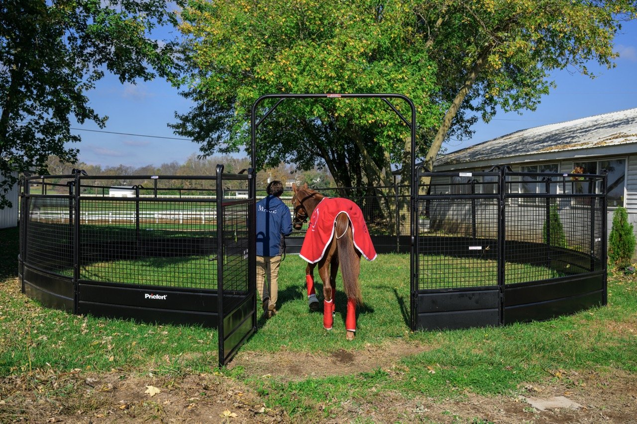 Premium Round Pens