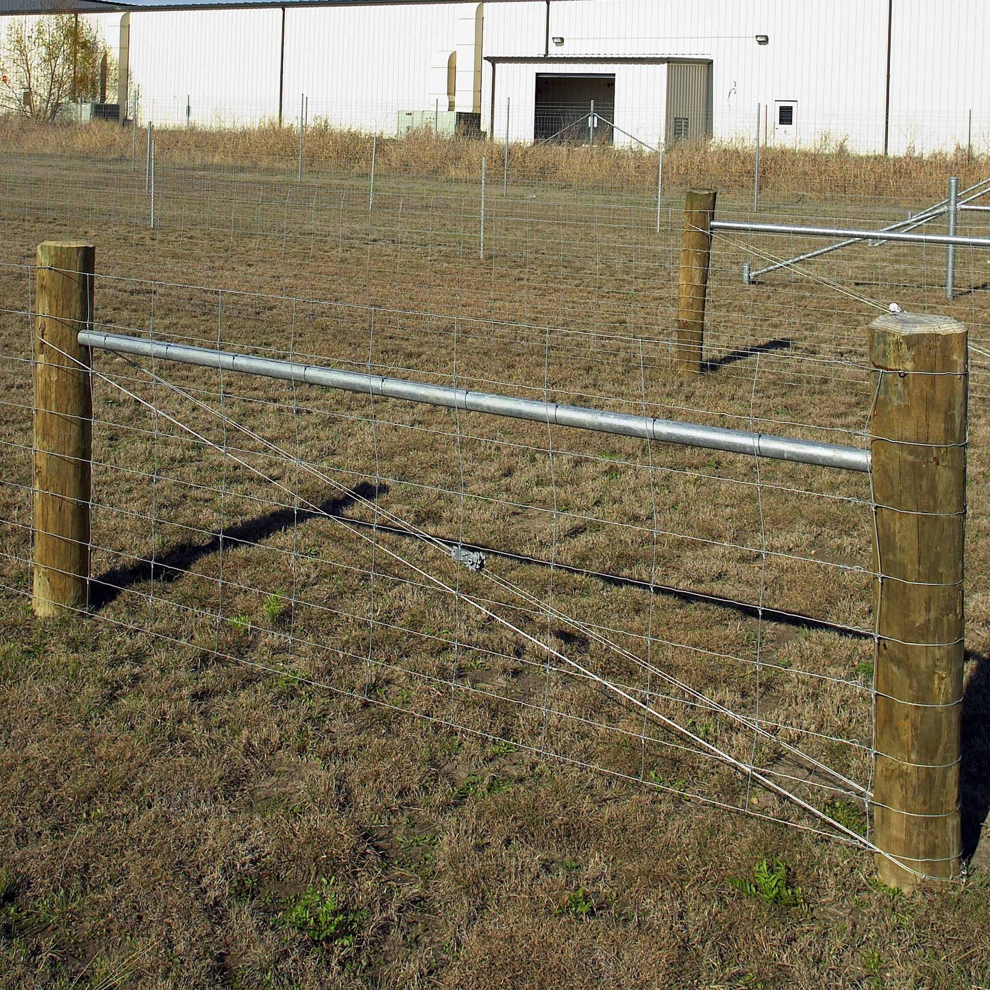 Brace Wire