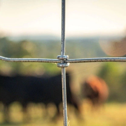 Stiff-Stay Horse Fence (Non-Climb)