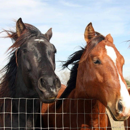 Stiff-Stay Horse Fence (Non-Climb)